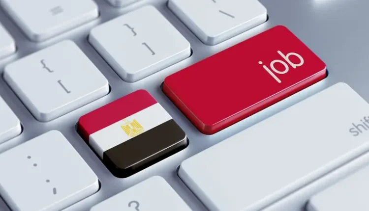 وظائف في مصر