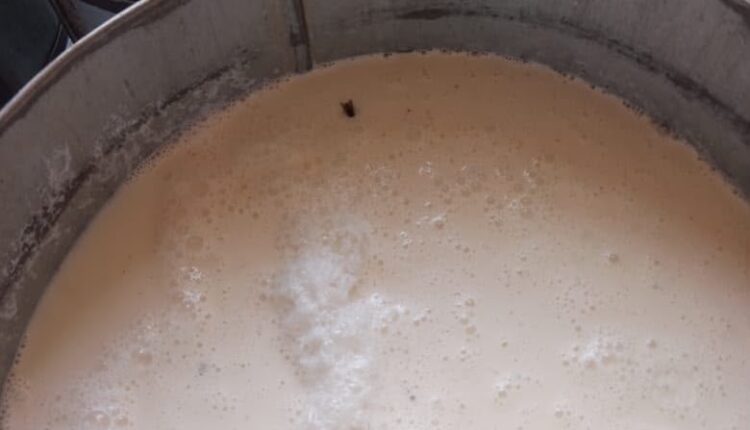 ألبان فاسدة في جبل أولياء